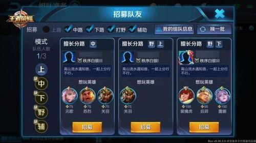 二舅王者爆料视频大全最新  第2张